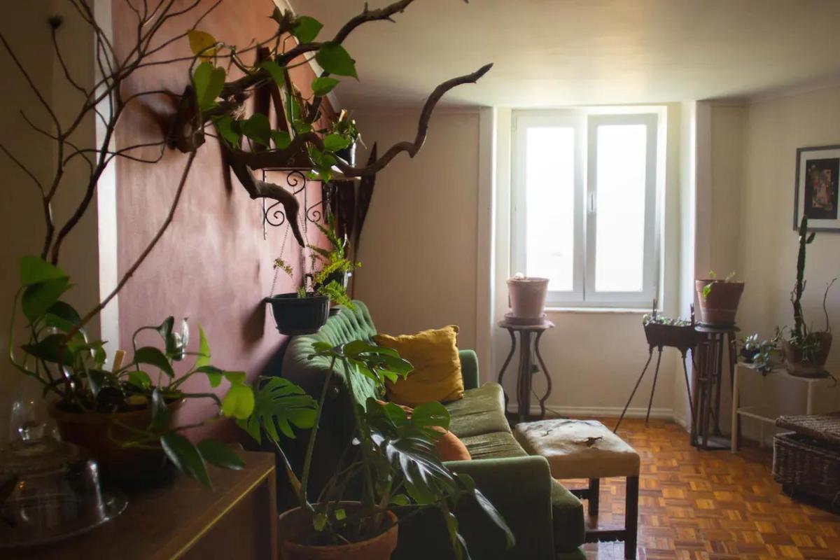 וילה פרנקה דה שירה Boho Chic Apt מראה חיצוני תמונה
